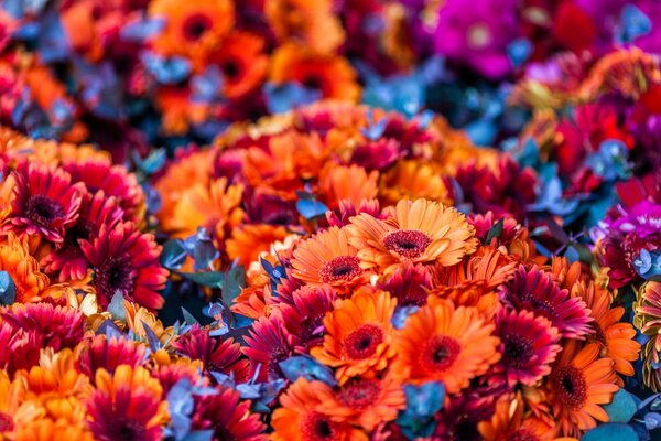 Bouquets orange et rouge vif
