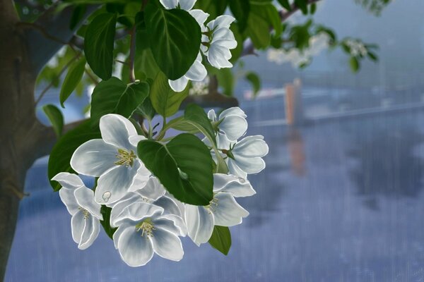 Art dessin de fleurs blanches sur bois