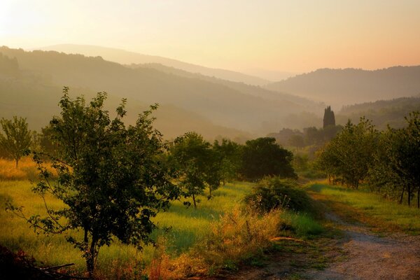 Coucher de soleil et sentier dans un beau champ vert