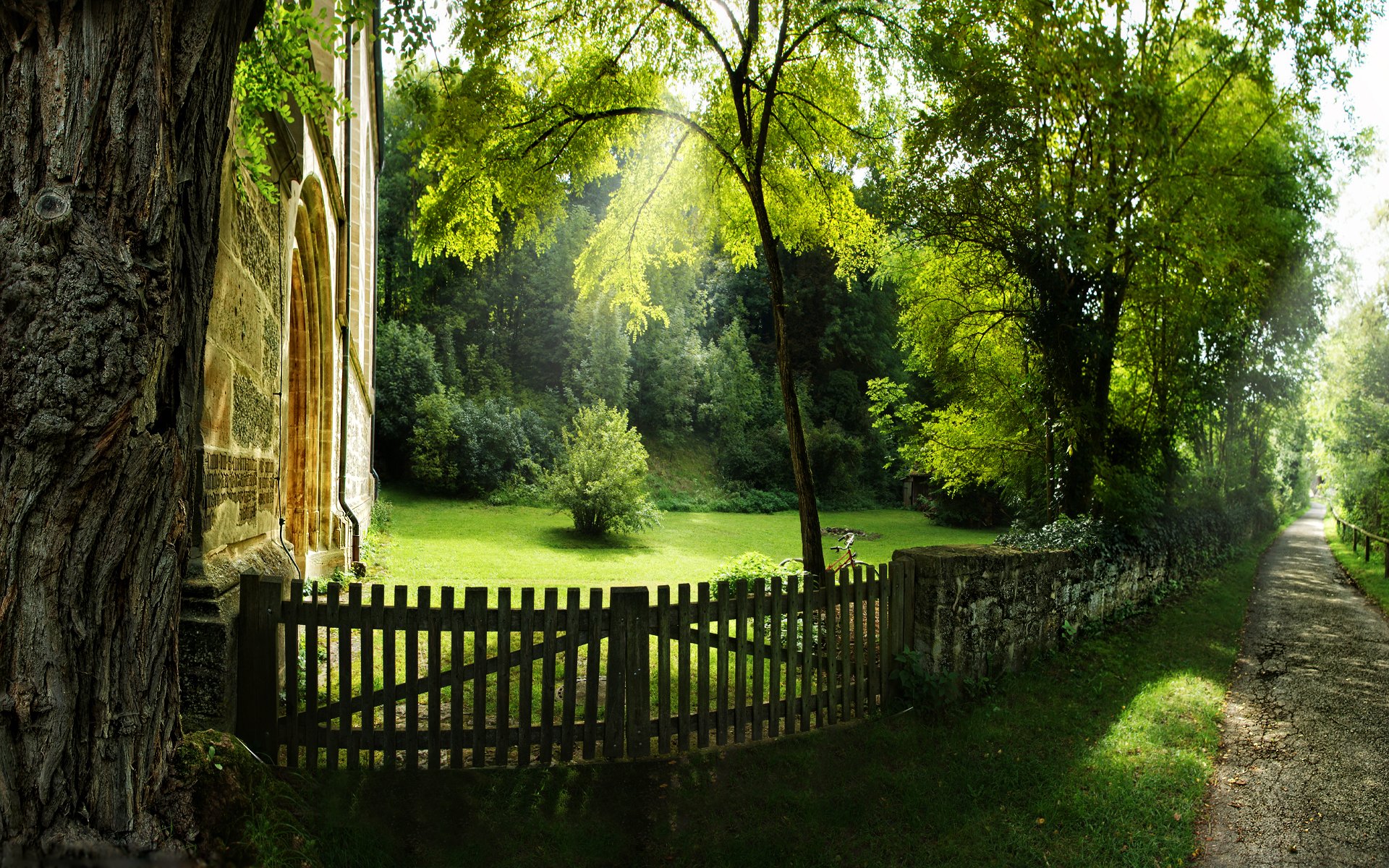 nature arbre arbres clôtures allée ruelles chemin chemins chemins herbe été printemps lumière rayons maisons manoir vélos vélos