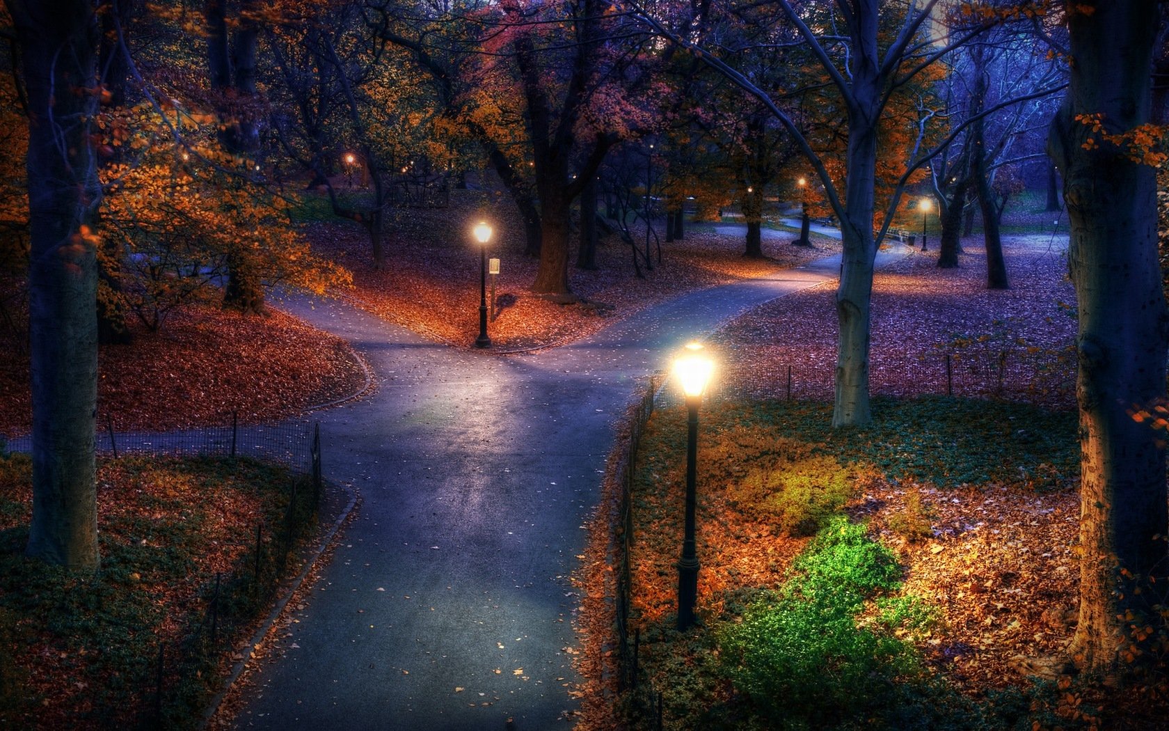 nuit parc routes