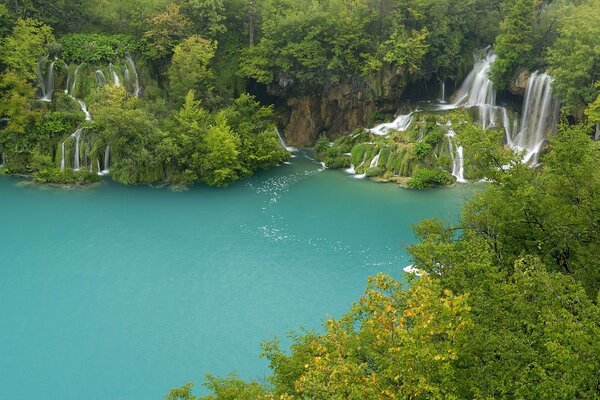 Lac de Plitvice entre les arbres