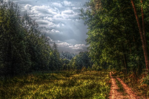 Route forestière de Dal