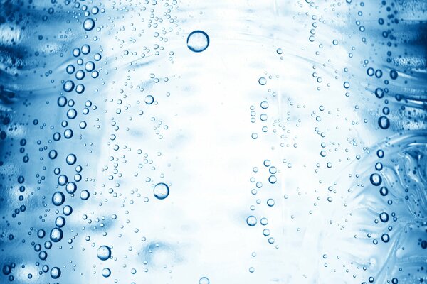 Bulles de gaz dans une bouteille d eau