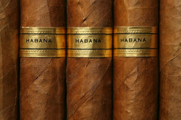 Gros plan de cigares cubains bruns gold label