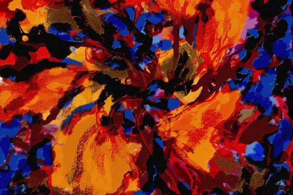 Feuillage d automne sur une branche d arbre