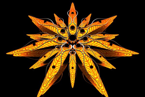 Lignes de fleurs dans l abstraction
