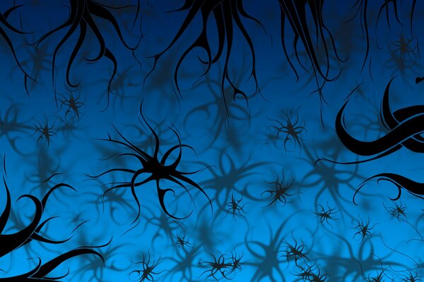Motifs noirs sur fond bleu
