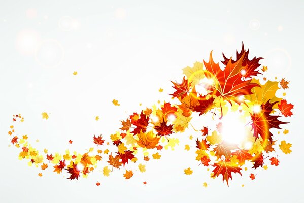 Automne automne feuilles d érable colorées
