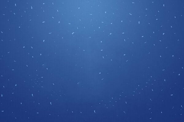 Tirets blancs sur fond bleu