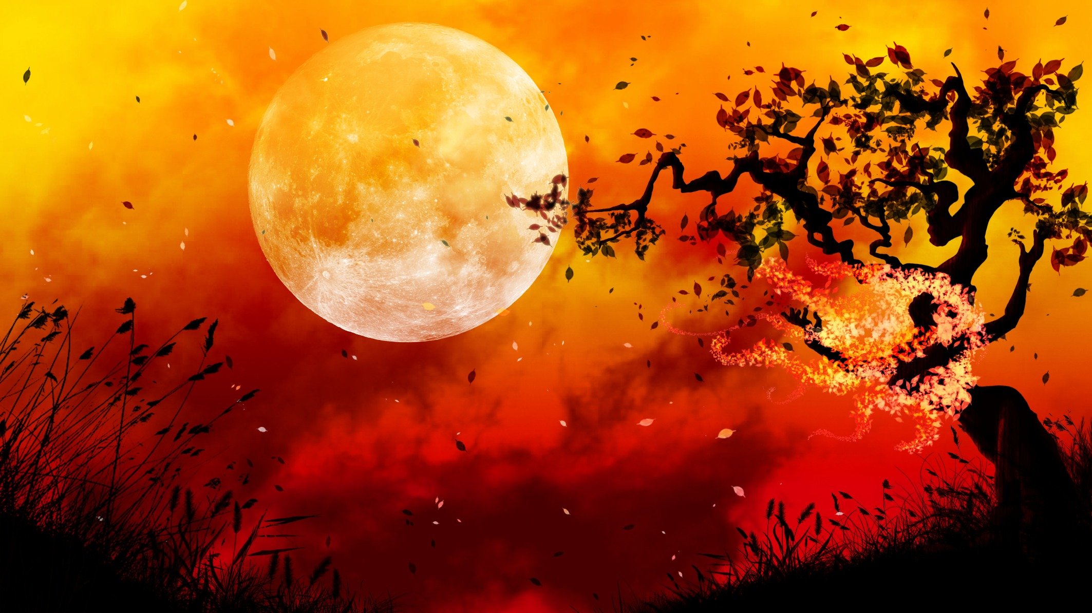 peinture art paysage coucher de soleil ciel arbre