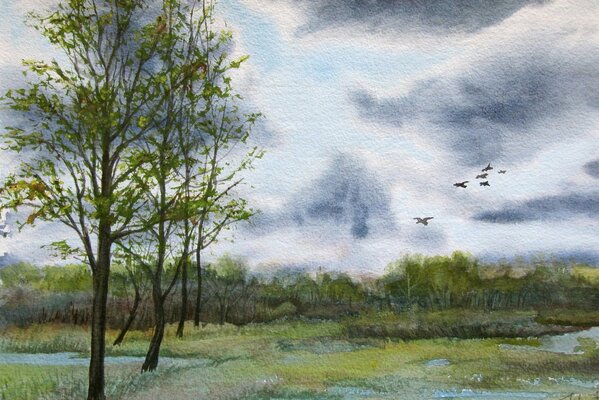 Paysage naturel du marais de la forêt sur toile