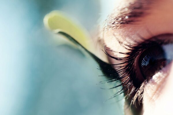 Le regard de l homme sur la photo des yeux