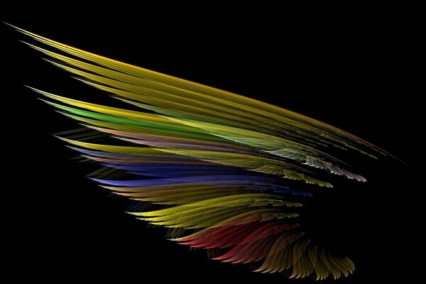 Plumes comme une technique originale et à la mode