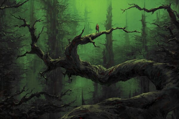 Forêt sombre au crépuscule