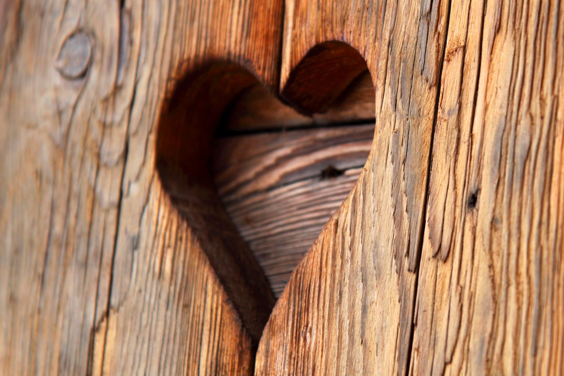 amour coeurs