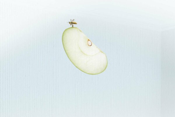 Abeille sur une tranche de pomme verte