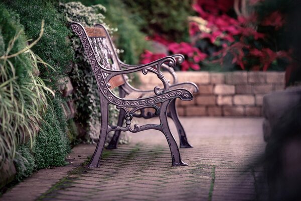 Arrêtez-vous et asseyez-vous sur le banc et regardez la nature
