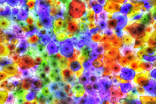 Image au microscope, microcosme, amibe
