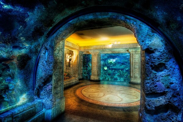 Dans une grotte sous-marine, une pieuvre est pliée sur le sol avec une mosaïque