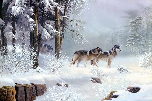 Les loups pensent quand ils mourront