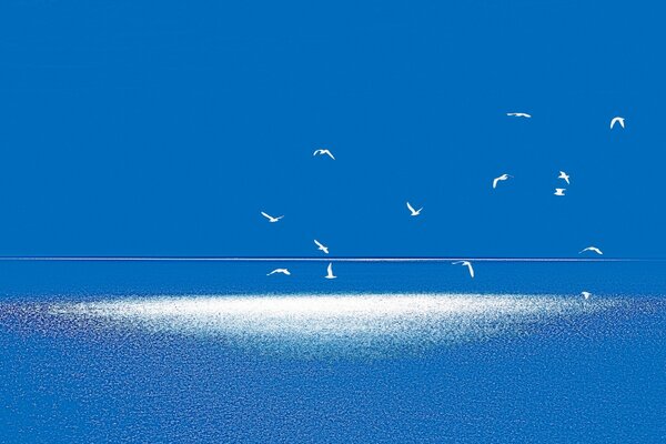 Paysage bleu et blanc avec des oiseaux volants