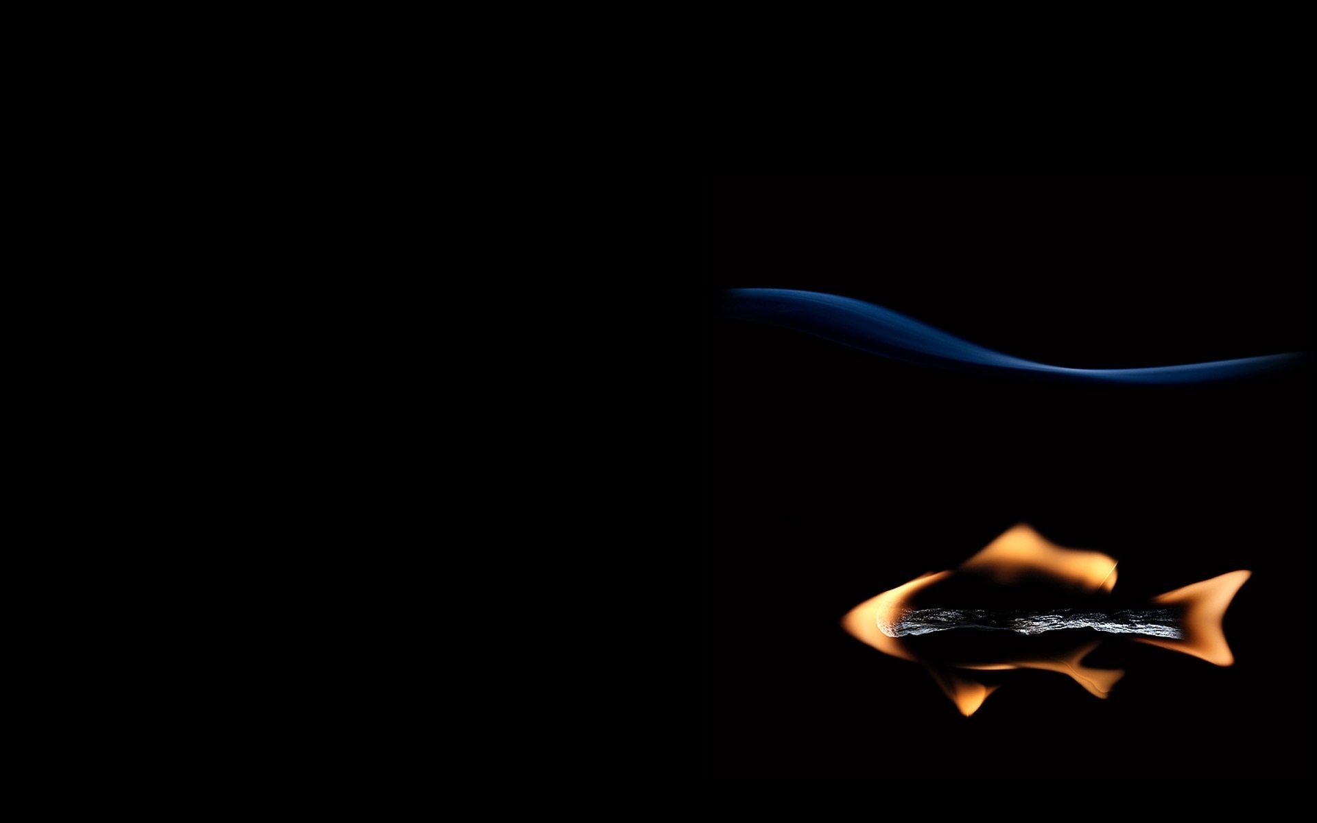 création poisson poisson allumette feu fond noir auteur stanislav aristov