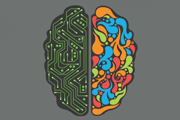 Hémisphères droit et gauche du cerveau