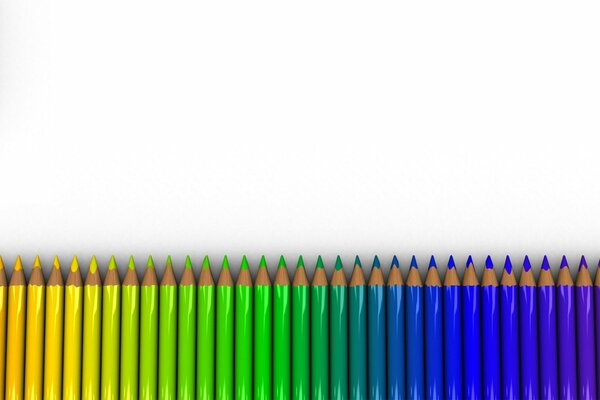 Des crayons de couleur sur fond blanc