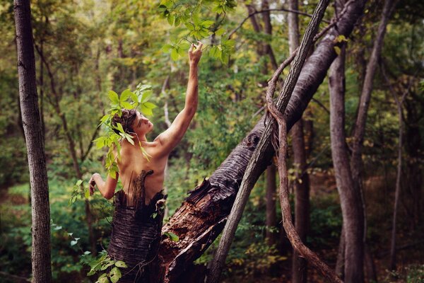 Guy représente un arbre dans la forêt