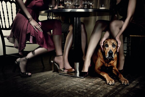 Le chien près de la jambe assis à la table des filles