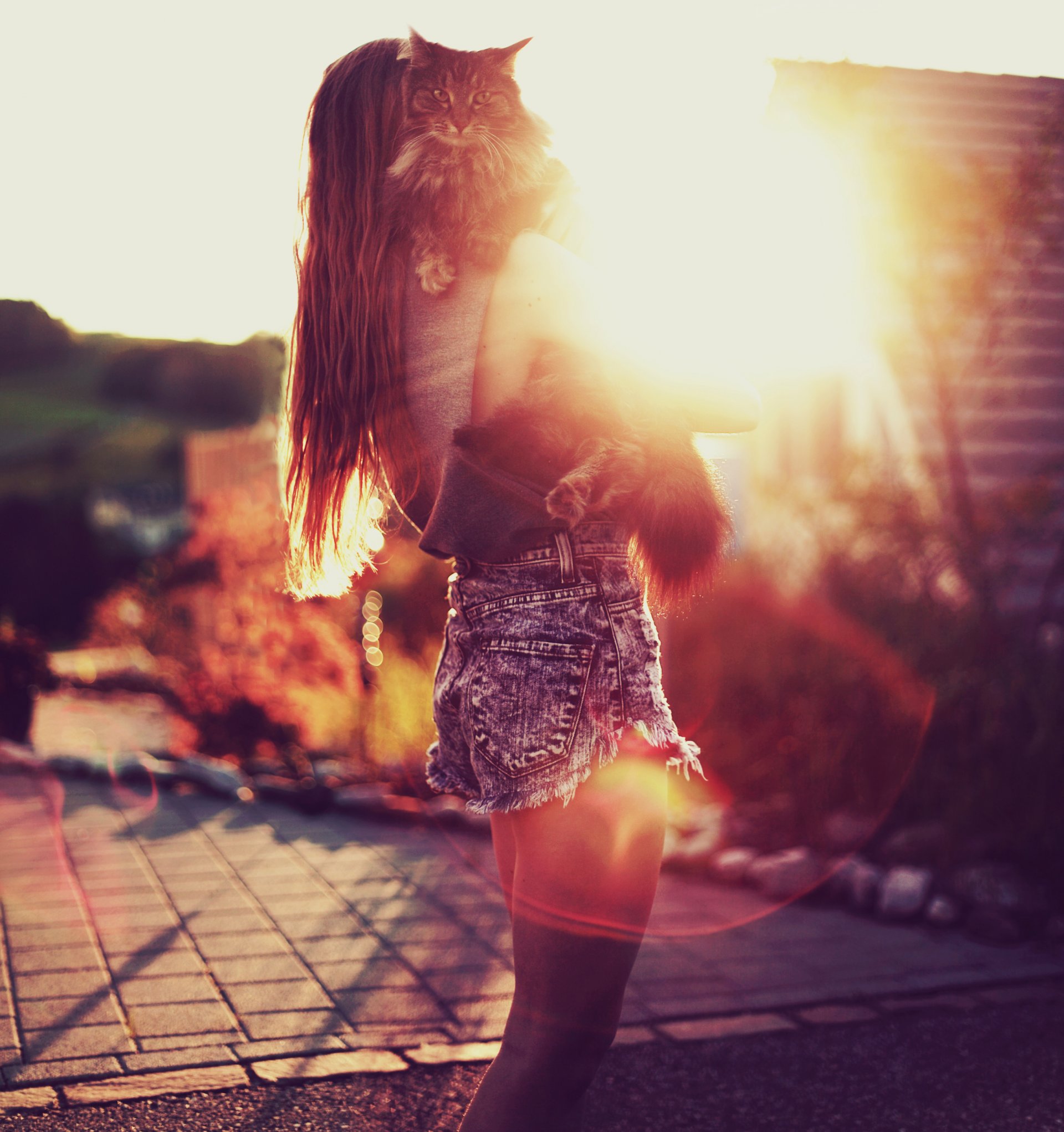 fille bokeh soleil humeur chat