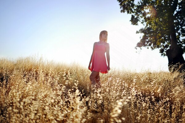 La jeune fille se promène sur le champ