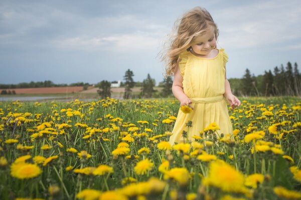 La petite fille dans la prairie avec одуванчиками dans une robe jaune