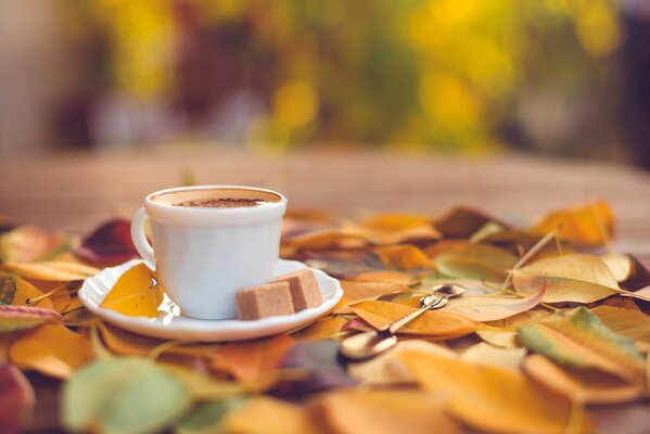 Blanc tasse de café et le sucre à l intérieur de la soucoupe sur fond de feuilles d automne