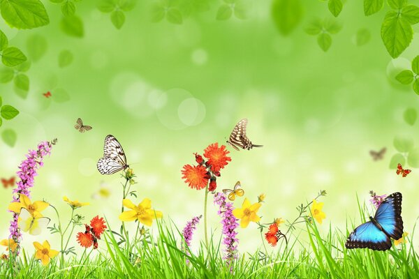 La prairie avec des fleurs, des papillons et l herbe verte