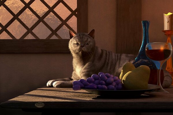 Nature morte d un chat sur la table