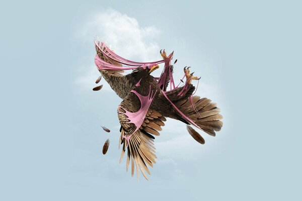 Un aigle dans le ciel s est empêtré dans жвачке