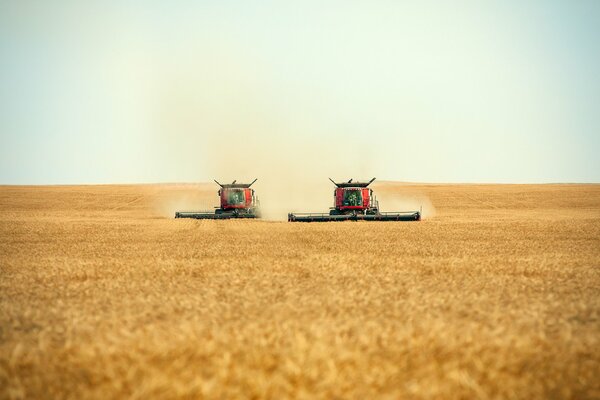 La paire combine le travail sur le terrain