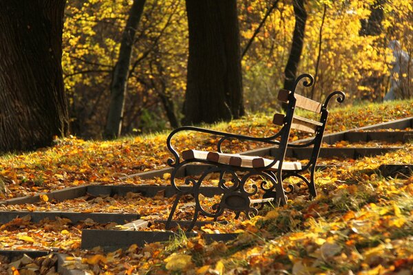Banc à côté de l escalier dans le parc d automne
