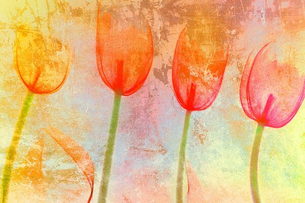 Texture en forme de tulipe couleur humeur