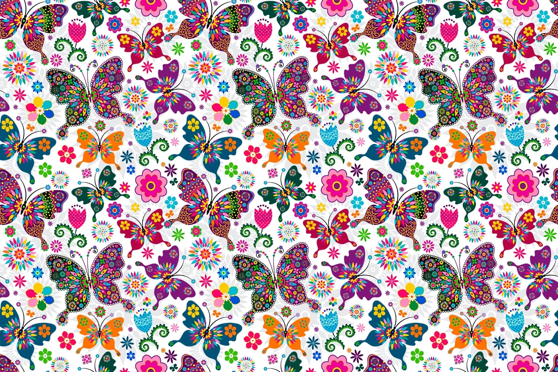 papillons modèle ailes