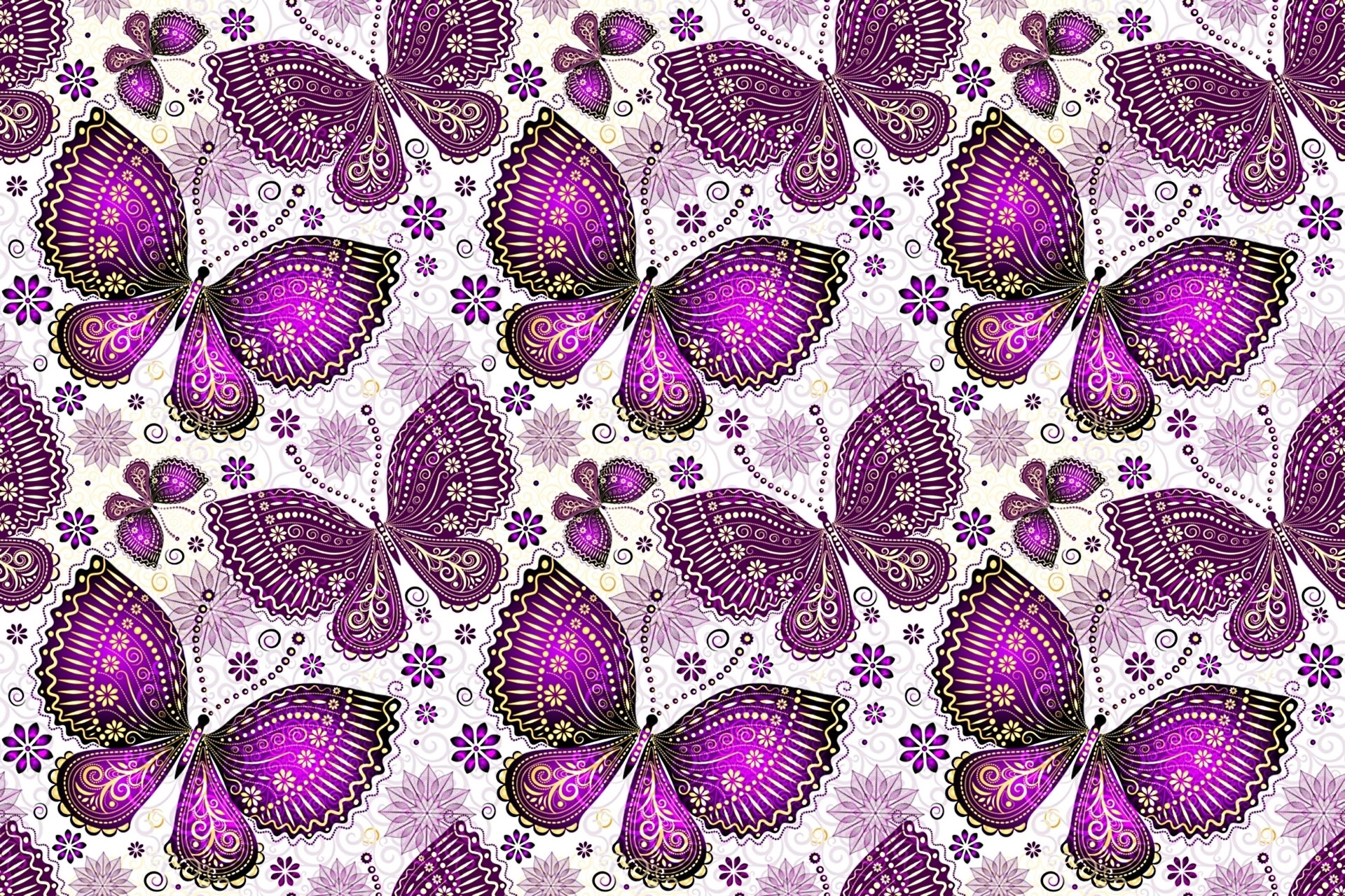 papillons modèle ailes