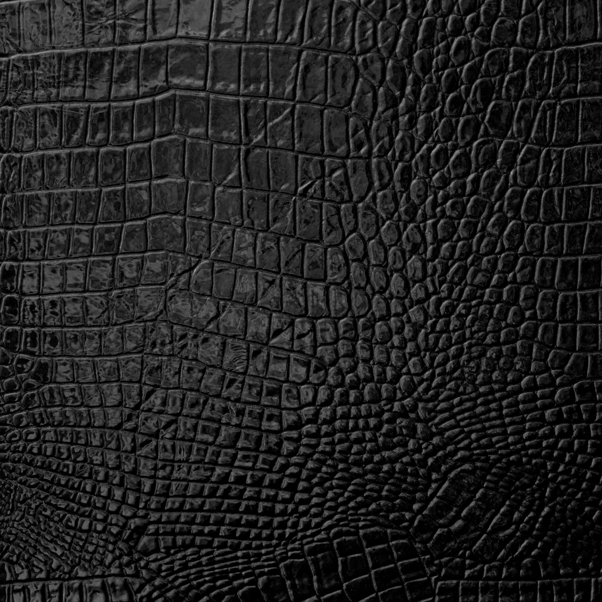 cuir texture