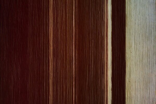 Fond avec différentes textures de bois