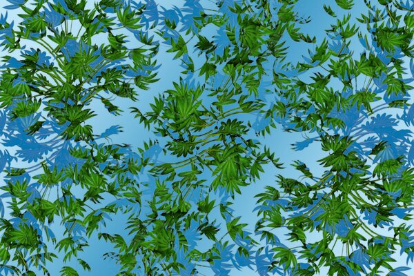 Feuilles vertes dans l eau bleue