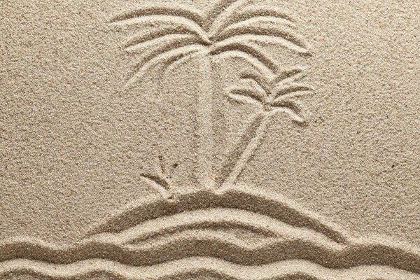 Palmiers et la mer. Dessin sur le sable