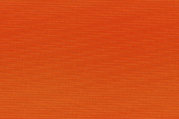 Fond orange. Couleur vive