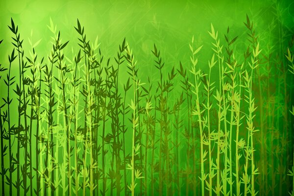 Lignes d ortie sur fond vert