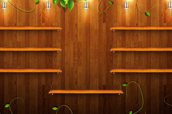 Étagères en bois sur un mur en bois avec des germes verts